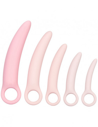 Sada dilatátorů na roztažení vaginy Inspire Dilator Kit - California Exotic Novelties (5 ks)